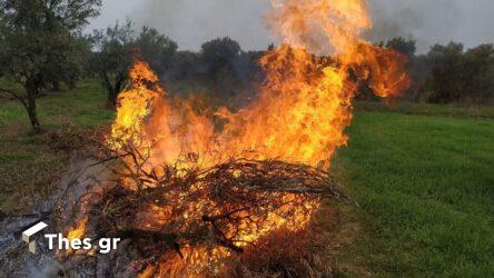 Θεσσαλονίκη: Φωτιά στα Διαβατά