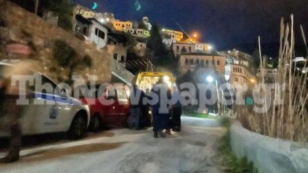 Νέα αποκαλυπτικά στοιχεία για το διπλό φονικό στη Μακρινίτσα