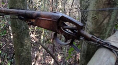 Χαλκιδική: Τοποθέτησαν όπλο-παγίδα για να πιάσουν αγριογούρουνο – Μπορούσε να χτυπήσει και άνθρωπο