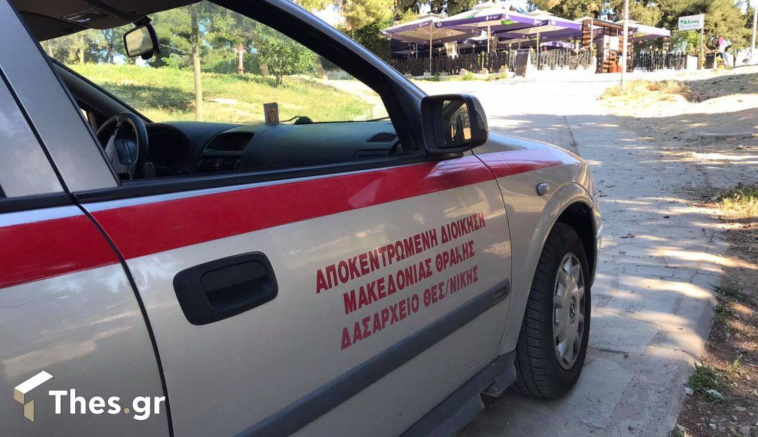 άλσος Συκεών αγριογούρουνο Θεσσαλονίκη