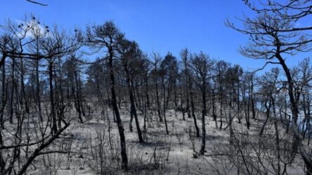 Στο Αλεποχώρι κυβερνητικό κλιμάκιο – Γίνεται αποτίμηση των ζημιών