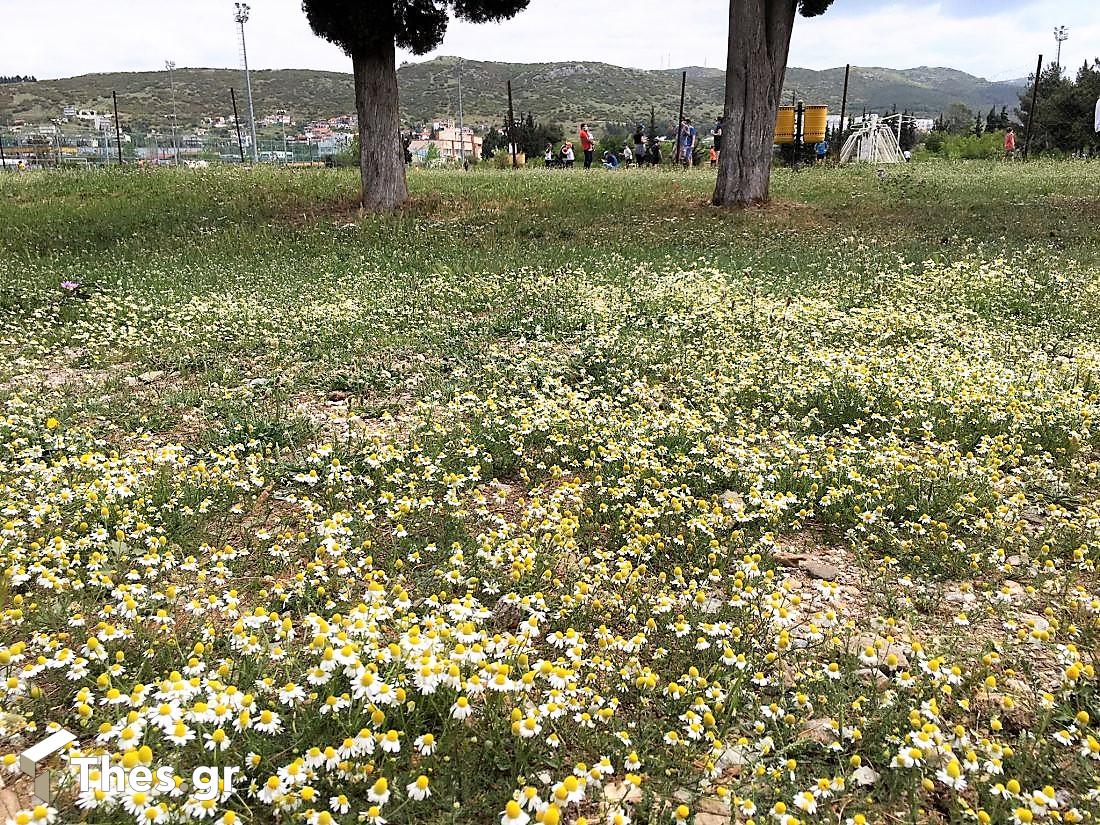 στρατόπεδο Καρατάσιου Καρατάσου Θεσσαλονίκη στην πόλη