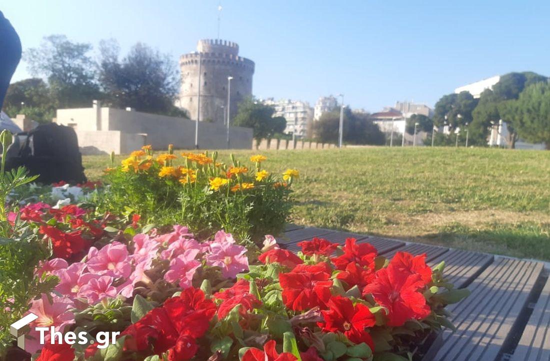 παγκόσμια ημέρα Περιβάλλοντος
