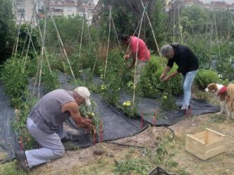 Πρώην υπουργός καλλιεργεί λαχανικά και τα προσφέρει στο Παιδικό Χωριό SOS στο Πλαγιάρι (ΦΩΤΟ)