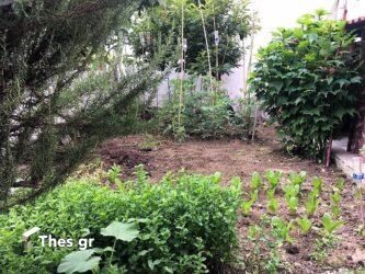 ΠΚΜ: Διαβούλευση του Σχεδίου Δράσης για την αστική γεωργία