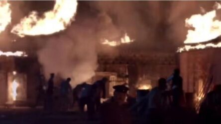Αγριες Μέλισσες: Πύρινη “κόλαση” το Διαφάνι (ΒΙΝΤΕΟ)