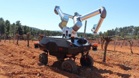 Ερευνα ΑΠΘ – BACCHUS: Ρομπότ τρυγάει μόνο σταφύλια υψηλής ποιότητας (ΒΙΝΤΕΟ)