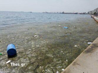 Θεσσαλονίκη: Καύσωνας με… βρώμικη θάλασσα και συντριβάνια (ΦΩΤΟ)