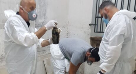 Η κάβα στο Τατόι έκρυβε σπάνια μπουκάλια και ένα ξεχωριστό για την Ελισάβετ (ΦΩΤΟ)