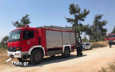 Φωτιά στο Πόρτο Γερμενό: Μία προσαγωγή υπόπτου για εμπρησμό