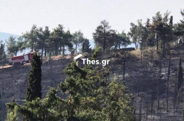 Πέντε ερωτήματα για τη φωτιά στο Σέιχ Σου από την “Οικολογία-Αλλεληγγύη”