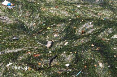 Πάνω από 25000 επιπλέον τόνοι πλαστικών αποβλήτων στις θάλασσες του πλανήτη