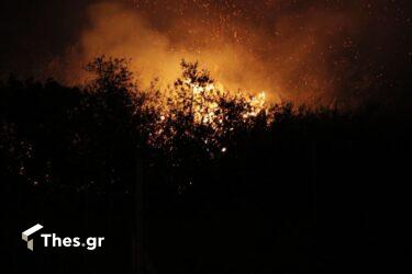 Πυρκαγιά σε δασική έκταση στο Παρανέστι Δράμας
