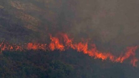 Βίλια: Οριοθετήθηκε στο μεγαλύτερο μέρος η πυρκαγιά – Που δίνεται η μάχη