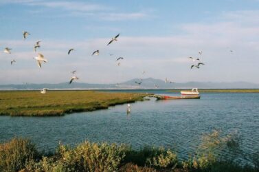 Ευρωπαϊκό έργο για την αντιμετώπιση των κινδύνων πλημμύρας στον Αξιό