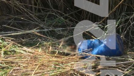 Ρέθυμνο: Θρίλερ με το πτώμα που εντοπίστηκε σε βαρέλι