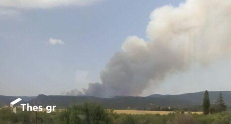 Συναγερμός για δυο φωτιές στη Φθιώτιδα (ΦΩΤΟ)