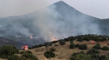 Χαλκιδική: Φωτιά σε δάσος στη Μεταμόρφωση