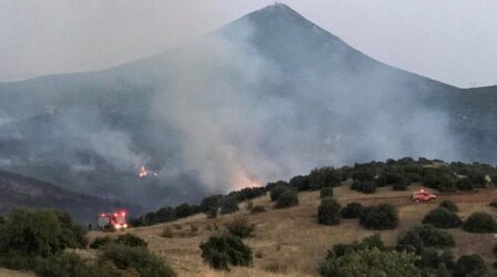 Νέα φωτιά στα Βίλια – Συναγερμός στην Πυροσβεστική