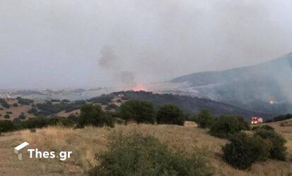 Ροδόπη: Ξέσπασε φωτιά σε χορτολιβαδική έκταση