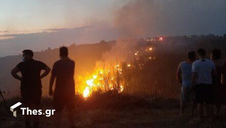 Φωτιές: Παρατείνεται η απαγόρευση μετακίνησης σε δάση και άλση