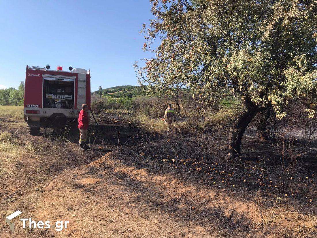 Πετροκέρασα Θεσσαλονίκη φωτιά