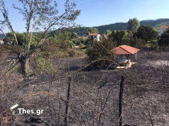 Θεσσαλονίκη: Μέχρι τις αυλές των σπιτιών έφτασε η φωτιά στα Πετροκέρασα (ΒΙΝΤΕΟ & ΦΩΤΟ)