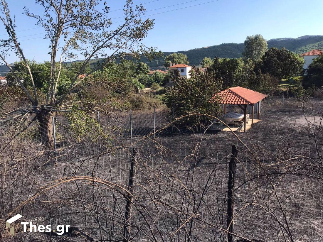 Πετροκέρασα Θεσσαλονίκη φωτιά