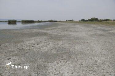 Υποχώρησαν κατά δεκάδες μέτρα τα νερά στη λίμνη Κορώνεια (ΒΙΝΤΕΟ & ΦΩΤΟ)