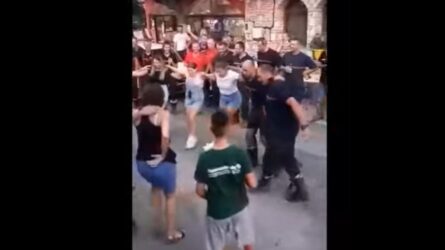 Με συρτάκι αποχαιρέτησαν τους Γάλλους πυροσβέστες στη Γορτυνία (ΒΙΝΤΕΟ)