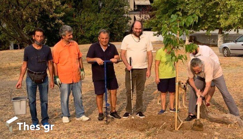 δενδροφύτευση