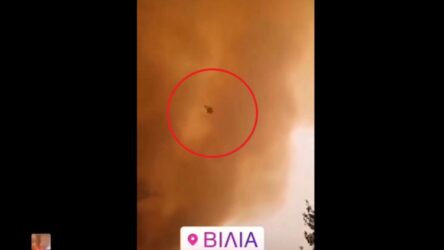 Βίλια – Συγκλονιστικό βίντεο: Στρόβιλος από φωτιά «πετά» στους πυροσβέστες κορμό δέντρου