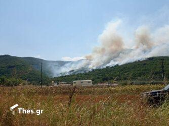 Δήμος Παγγαίου: Τέθηκε υπό έλεγχο η φωτιά στους Αντιφιλίππους (ΦΩΤΟ)