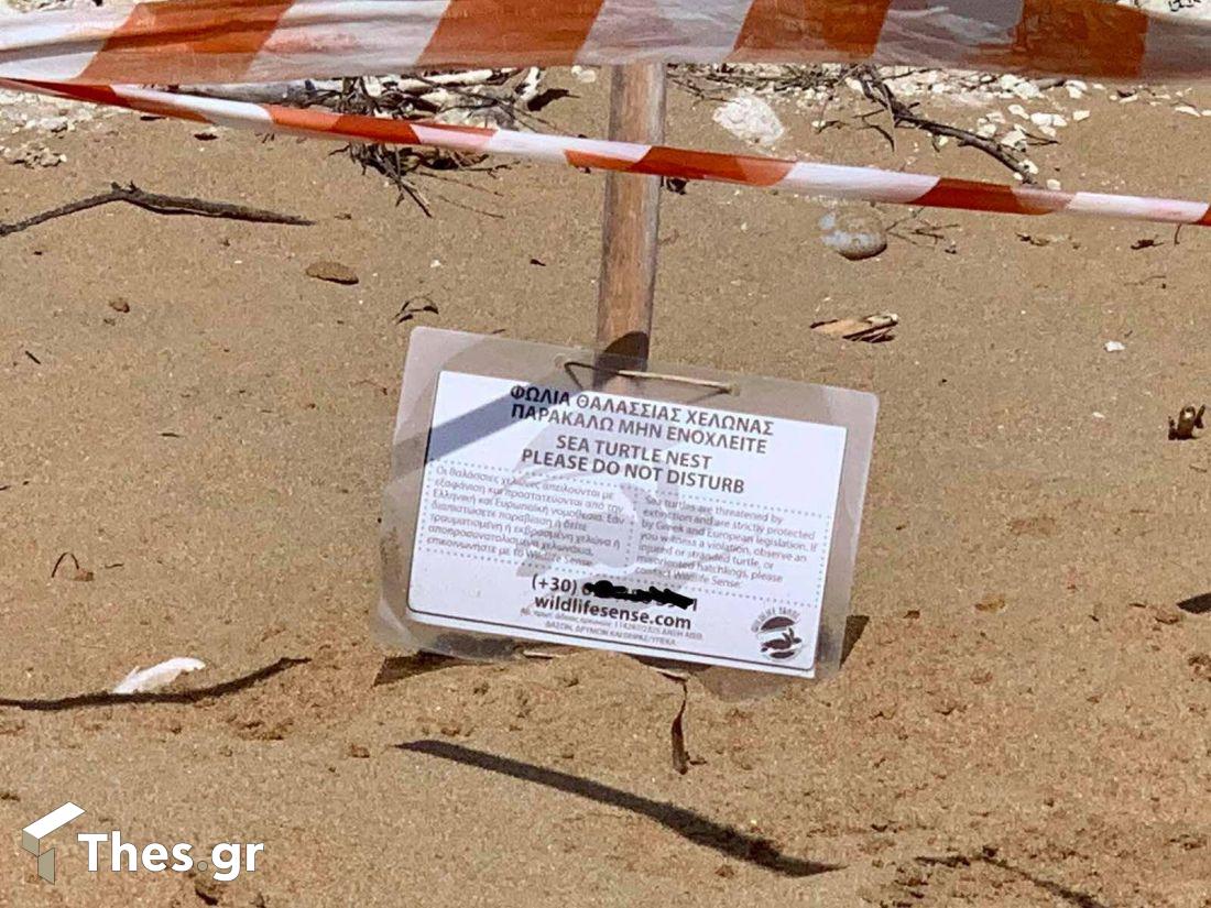 Κεφαλονιά χελώνες