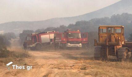 Ξέσπασε φωτιά σε δασική έκταση στην Μυτιλήνη