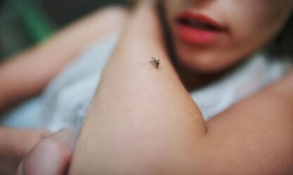 Πρώτες βοήθειες: Τι θα κάνεις αν σε τσιμπήσει έντομο, τσούχτρα ή σε δαγκώσει φίδι