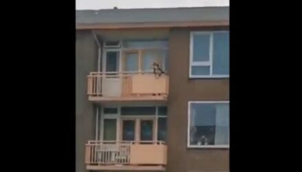Ολλανδία: Σοκαριστικό βίντεο – Βγήκε στο μπαλκόνι κι επιτέθηκε με τόξο, δύο νεκροί