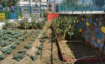 Ενας ξεχωριστός σχολικός κήπος στο 1ο Δημοτικό Σχολείο Αμπελοκήπων