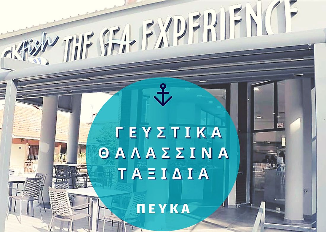 GKfish – THE SEA EXPERIENCE Πεύκα Θεσσαλονίκη νωπά και μαγειρεμένα ψάρια και θαλασσινά