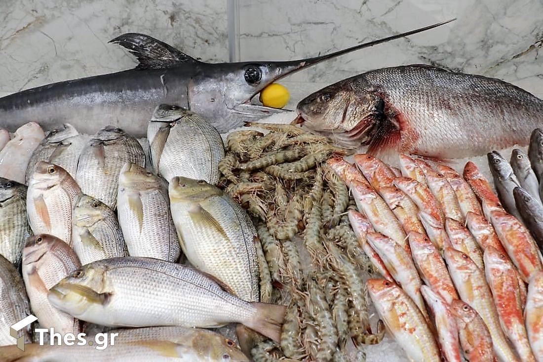 GKfish – THE SEA EXPERIENCE Πεύκα Θεσσαλονίκη νωπά ψάρια