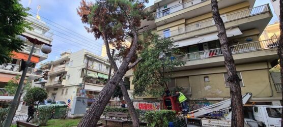 Καλαμαριά: Δέντρο έπεσε πάνω σε πολυκατοικία (ΦΩΤΟ)