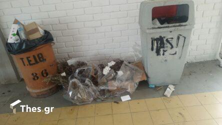 Μεγάλο πρόβλημα με την καθαριότητα στο Διεθνές Πανεπιστήμιο Θεσσαλονίκης (ΦΩΤΟ)