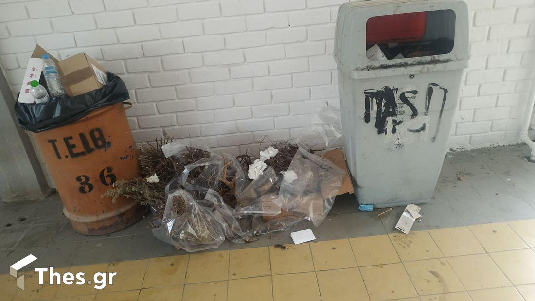 ΤΕΙ Θεσσαλονίκη Διεθνές Πανεπιστήμιο Θεσσαλονίκης