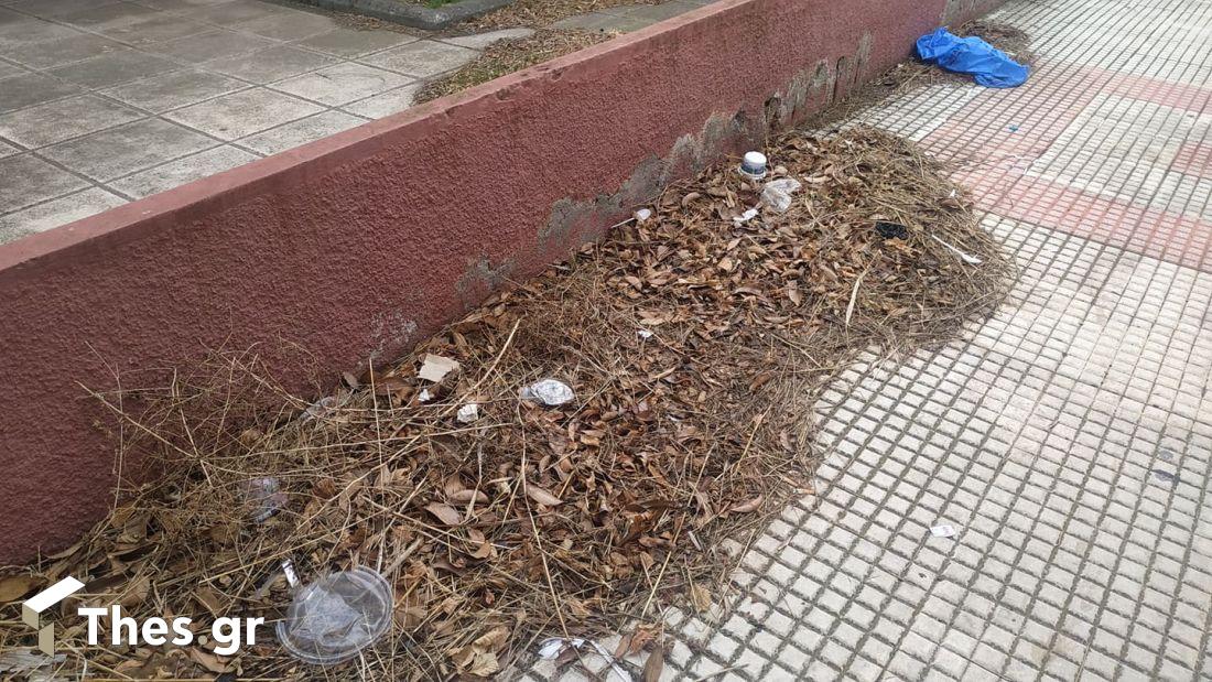 ΤΕΙ Θεσσαλονίκη