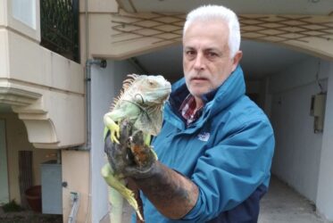 Λάρισα: Πέταξαν στα σκουπίδια ιγκουάνα