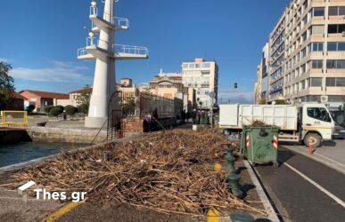 Θεσσαλονίκη: “Βουνό” από καλάμια και σκουπίδια στην παραλιακή (ΦΩΤΟ)
