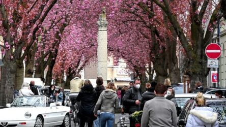 Τα δέντρα μειώνουν τις αστικές θερμοκρασίες έως και 12 βαθμούς
