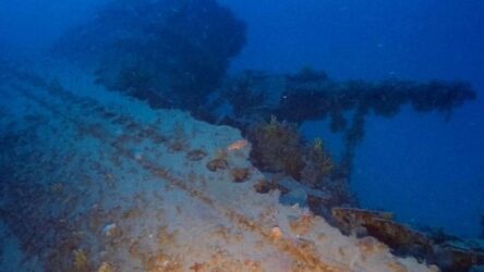 Αιγαίο: Ανακαλύφθηκε ναυάγιο 80 ετών στον βυθό του – Το ιταλικό Jantina που βυθίστηκε μετά από επίθεση