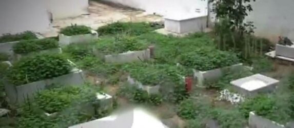 Καλύβια: Ιερέας έκανε την αυλή του παράνομο νεκροταφείο παιδιών
