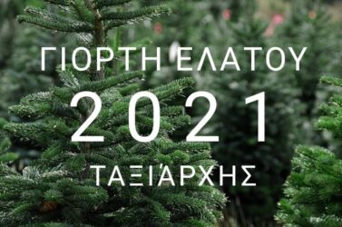 Ταξιάρχης: Δίνει το σύνθημα της έναρξης των Χριστουγέννων (ΒΙΝΤΕΟ)